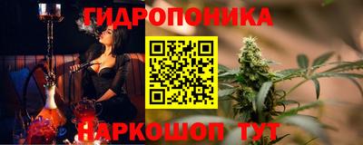 a pvp Обь