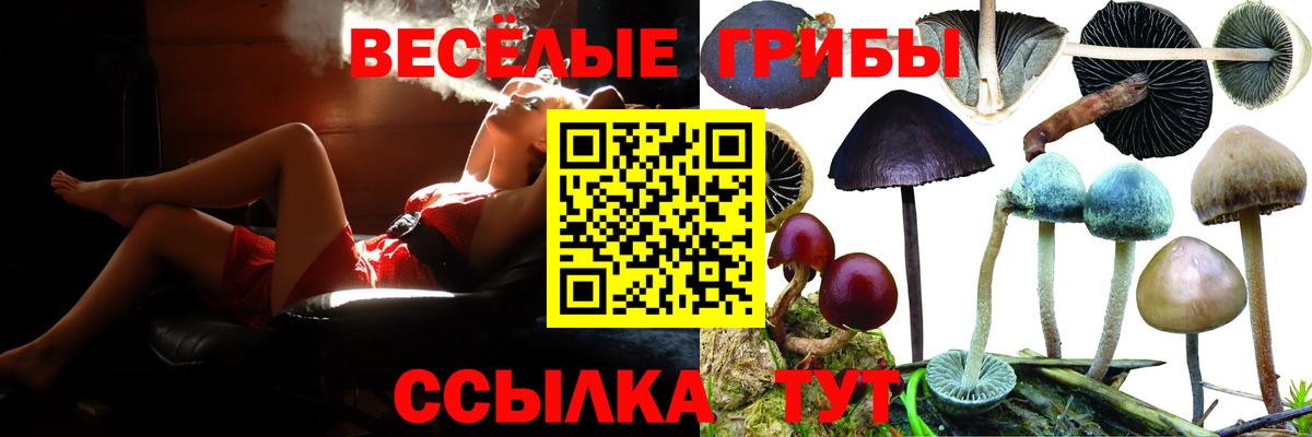 Свободный  Галлюциногенные грибы GOLDEN TEACHER  Галлюциногенные грибы GOLDEN TEACHER  Вход с VPN 