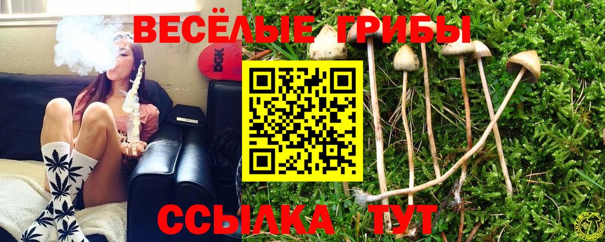 Псилоцибиновые грибы мицелий Свободный
