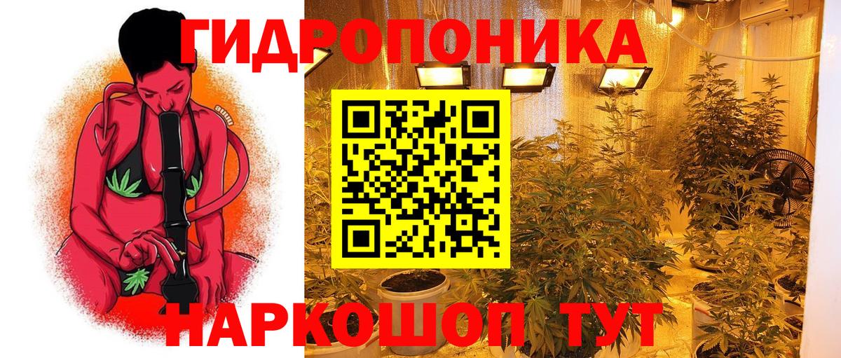 Каннабис THC 21%  Шишки марихуана тримм  Свободный  Канабис семена  Вход с VPN 